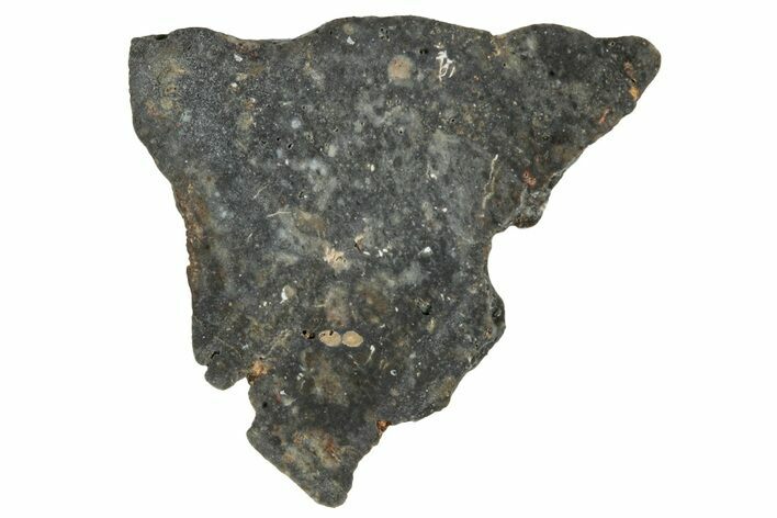 Lunar Meteorite ( g) Slice - Laayoune #291650